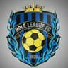 Role League fc