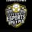 Icons eSport