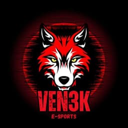 VEN3K eSports