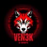 VEN3K eSports