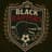black raptors