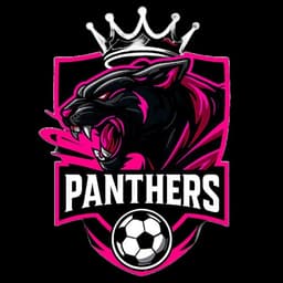 Panthers eSport