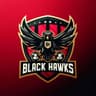 Black Hawks FC
