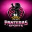 Panteras Sports