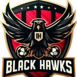 Black Hawks
