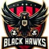 Black Hawks