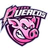 TEAM PUERCOS