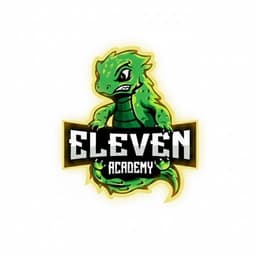 ELEVEN ACADEMY