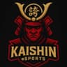Kaishin sport