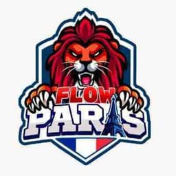 FC Flow Paris