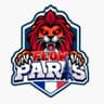 FC Flow Paris