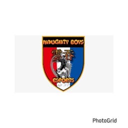 NAUGHTY BOYS eS