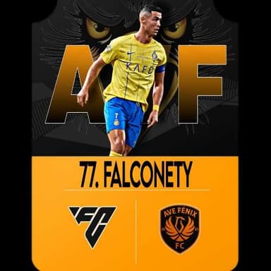 Falconety_99