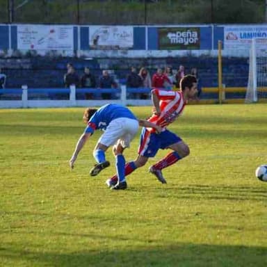 bujicanella22
