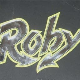 Robicky4595