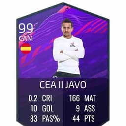 CEA II JaVo