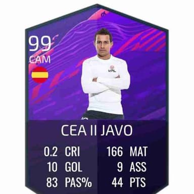 CEA II JaVo