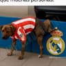 tatogonza999