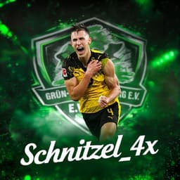 schnitzel_9345