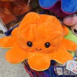 Mr Octopus4838