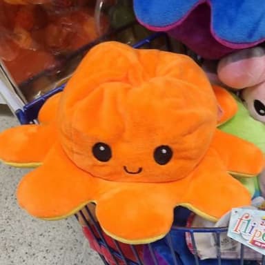 Mr Octopus4838