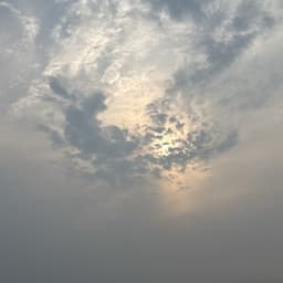 mohjamal7