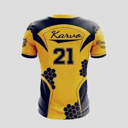 K4RVO21