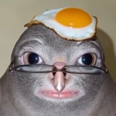ZokDarkK