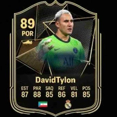 david2009_Tylon