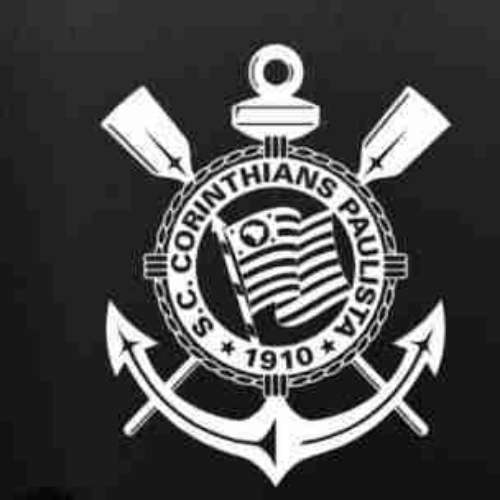 logo STARS FCI