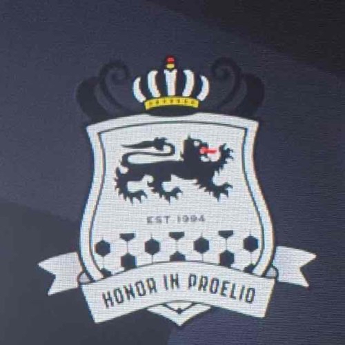 logo PingoNESii