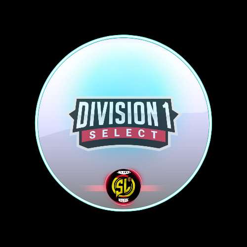 logo 1° División SELECT