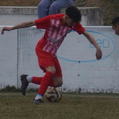 logo Erjoseluuu14